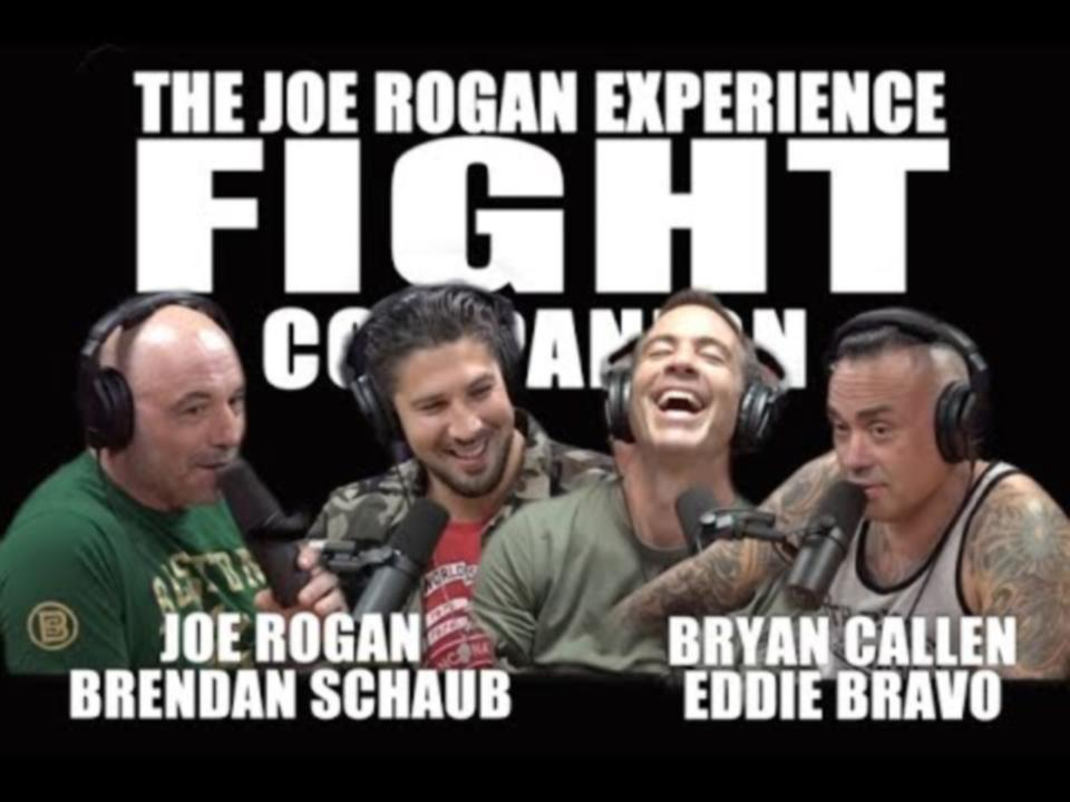 JRE Fight Companion